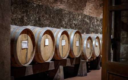 Tour e degustazione alla tenuta Casalbosco