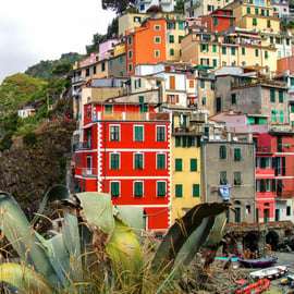 De Montecatini: Excursão particular a Cinque Terre com Pisa