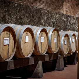 Tour e degustação na propriedade Casalbosco