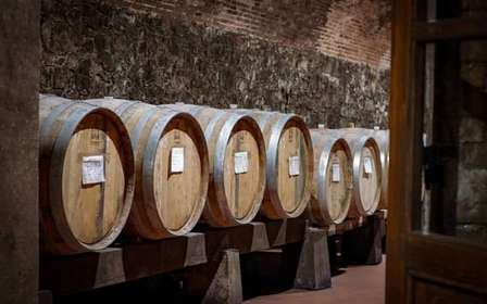 Tour e degustação na propriedade Casalbosco