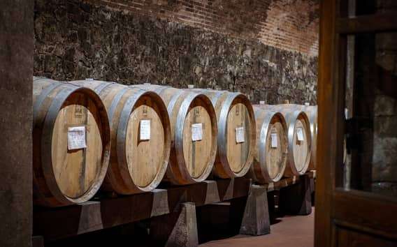 Tour and tasting at Casalbosco estate
